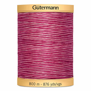 Gut Varigated 800m 969