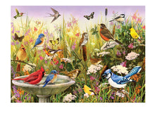 Puzzle 1000pc - Feathered Friends 40228