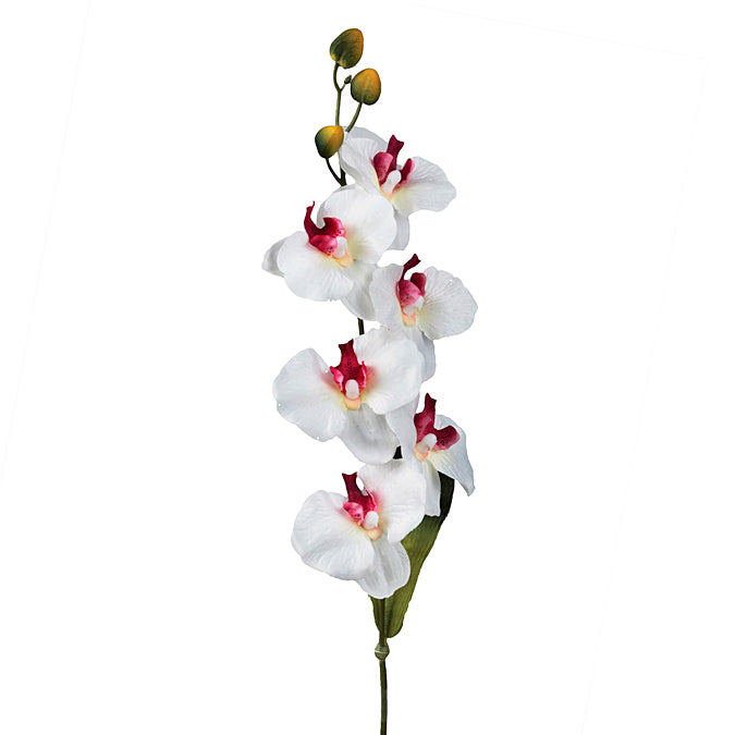 DD Orchid Spray W/6 Flowers White W/Red 74cm