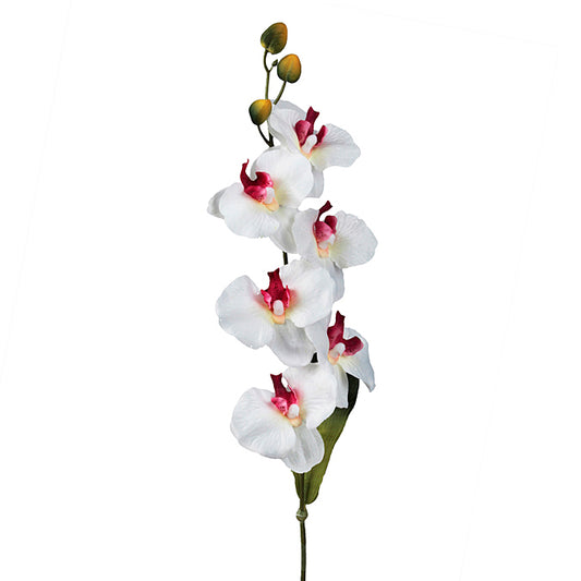 DD Orchid Spray W/6 Flowers White W/Red 74cm