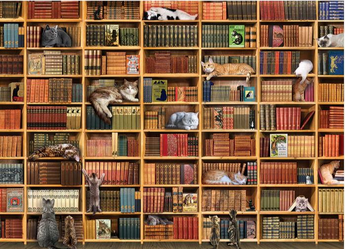 Puzzle 1000pc - Library Cat 80124