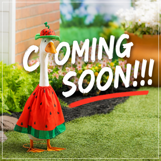 EE Porch Goose Outfit - Watermelon Season