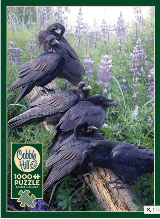 Puzzle 1000pc - Raven Rendezvous 80252