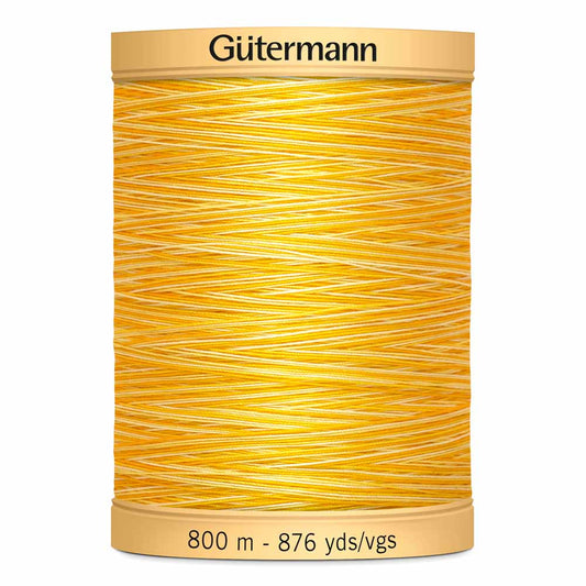 Gut Varigated 800m 918