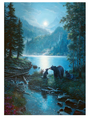 Puzzle 1000pc - Bear Night 40008