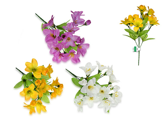 Freesia Bush