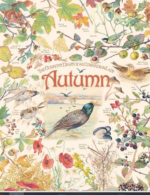 Puzzle 1000pc - Country Diary: Autumn 80213