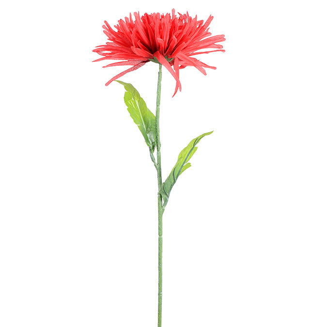 DD Fuji Mum Stem Red 64cm