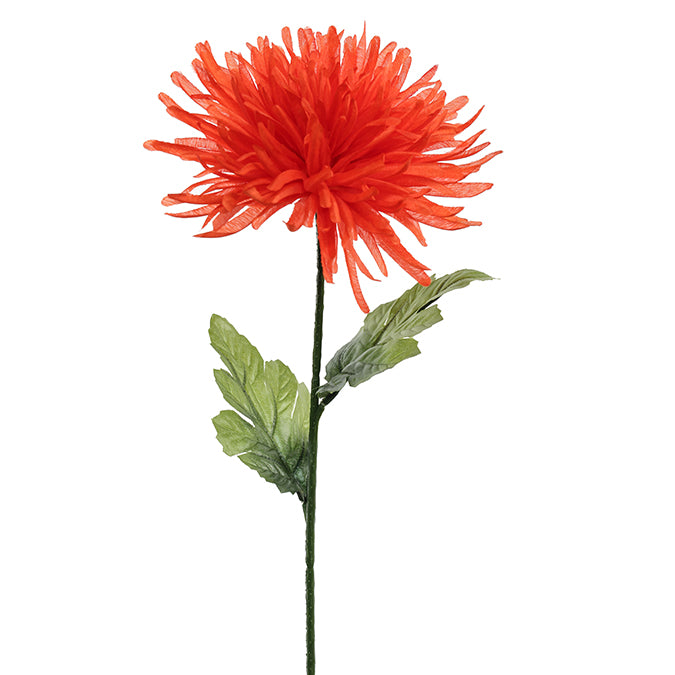 DD Fuji Mum Stem Orange 64cm