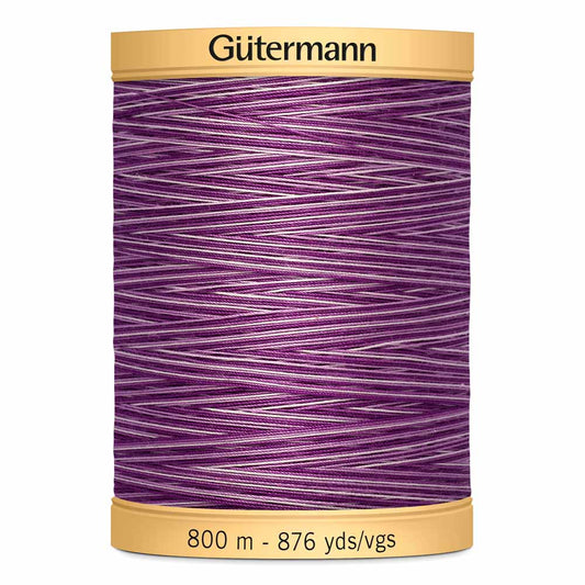 Gut Varigated 800m 9978
