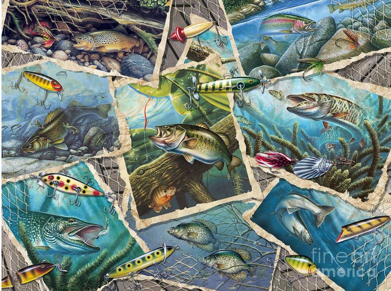Puzzle 1000pc - Fish Pics 80209