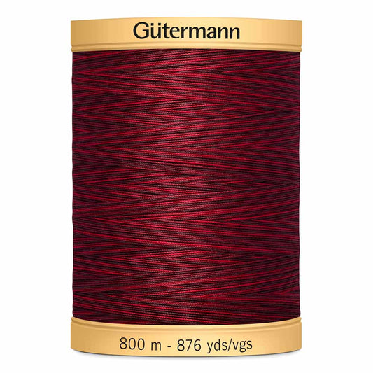 Gut Varigated 800m 959