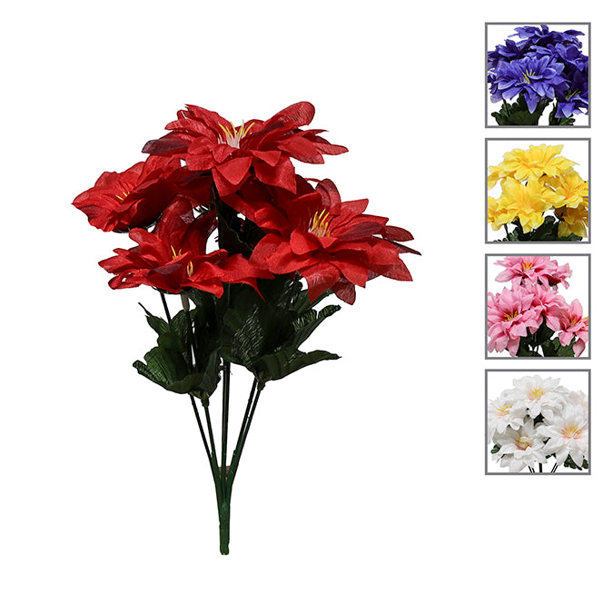 DD Zinnia Bush Small x 5 Assorted