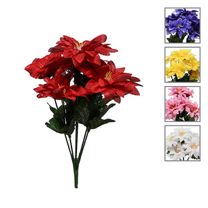 DD Zinnia Bush Small x 5 Assorted