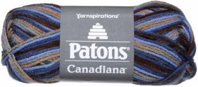 Patons Canadiana 100g - Wedgewood Varigated 11107