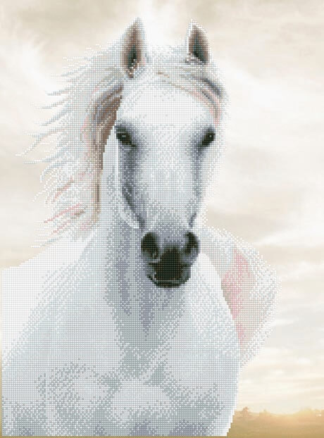 Diamond Dotz - Imperial Stallion DD10.012
