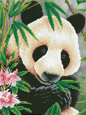 Diamond Dotz - Panda Prince DD7.040