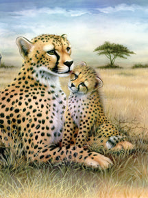 PBN - Leopard