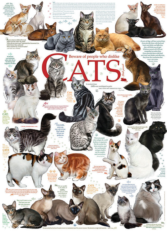 Puzzle 1000pc - Cat Quotes
