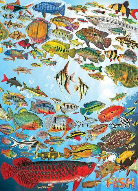 *Puzzle 1000pc - Tropical Fish