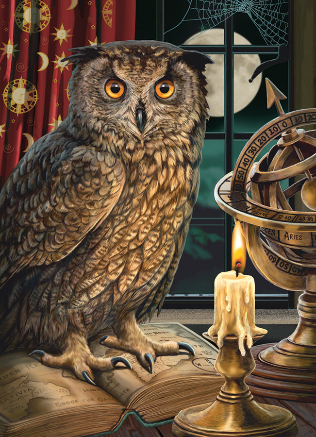 Puzzle 1000pc - The Astrologer (Owl)