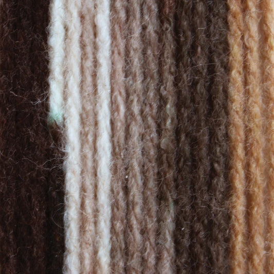 Bernat Super Value Stripes 142g -  Sherwood Forest 73003