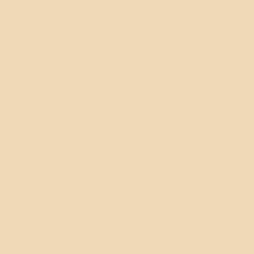 CW Premium Solid Biscuit 313